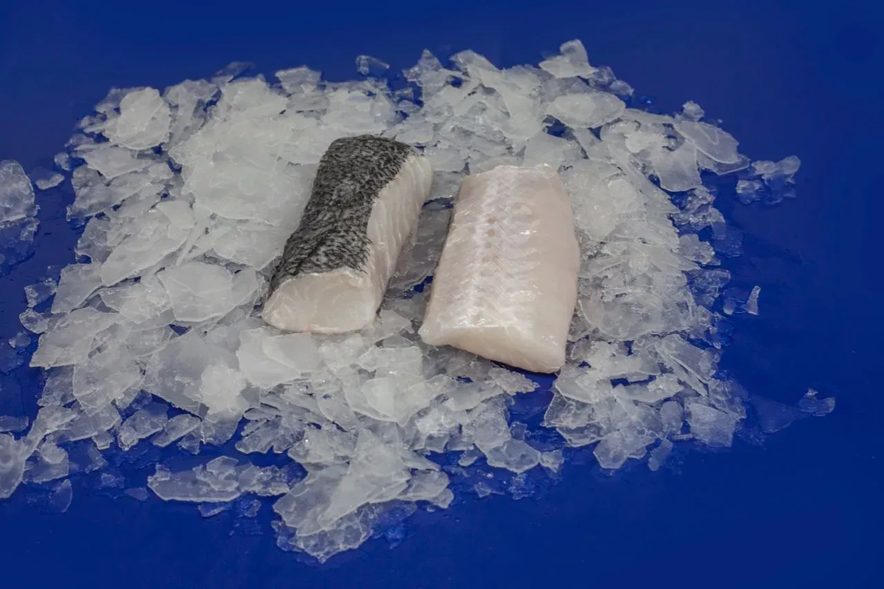 Tuna loin preparation