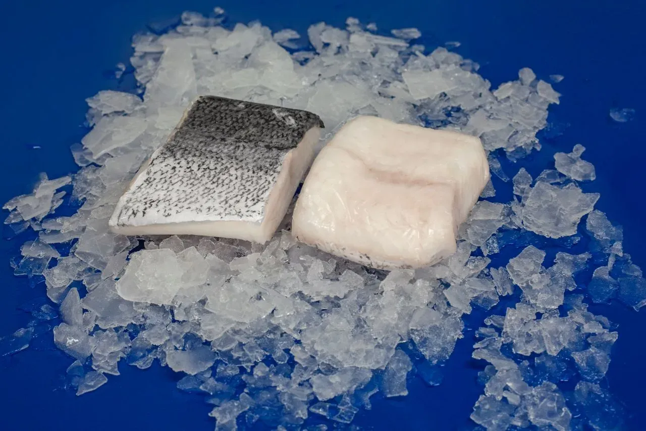 Packaged fish cuts ready for export