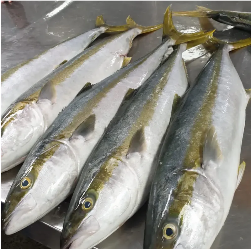 Fish packaging and quality control