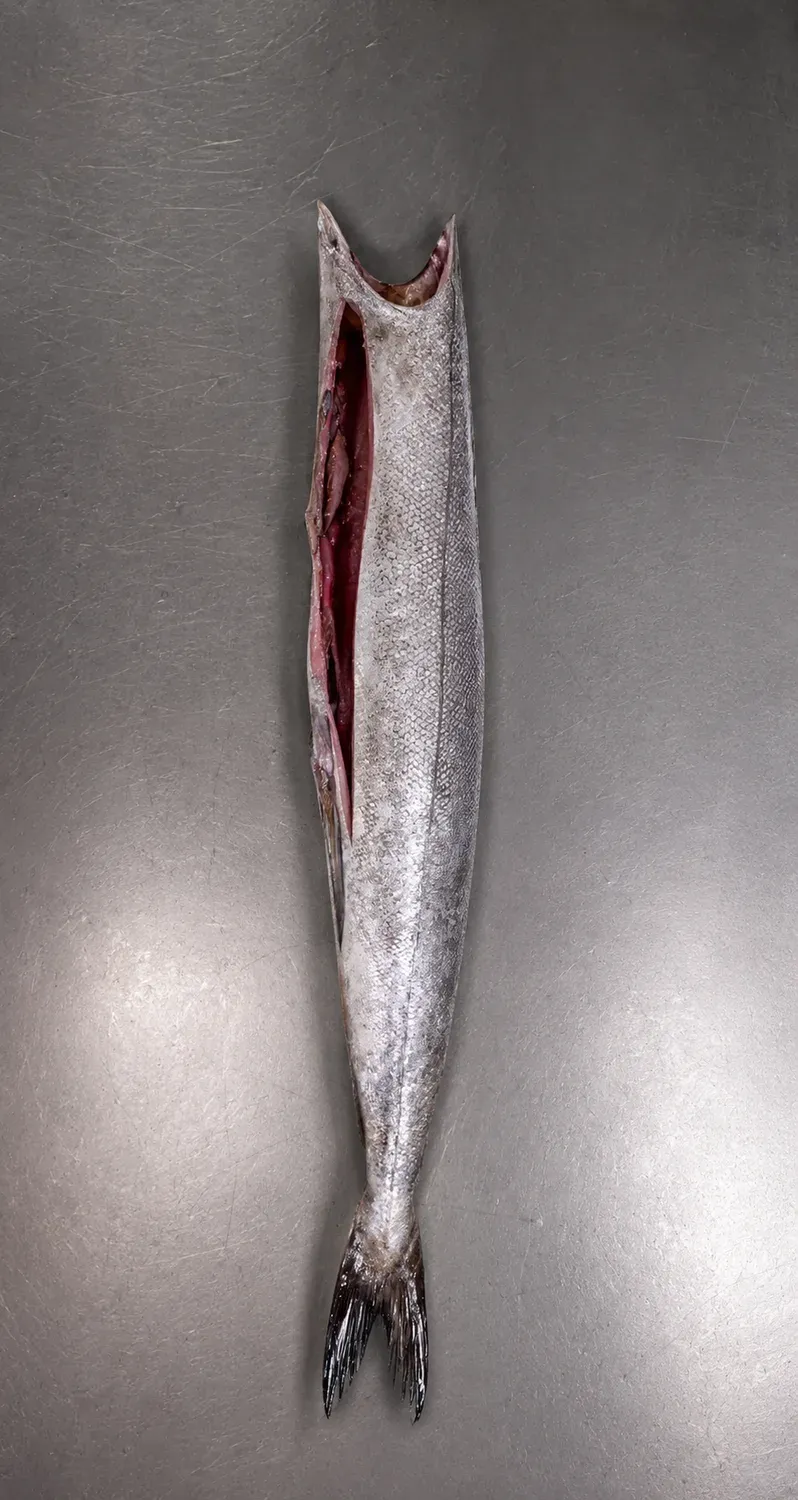 Hake headed and gutted cut