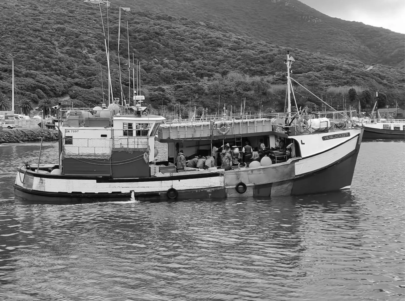 Wild Caught Products artisanal fishing boat in Cape Town waters