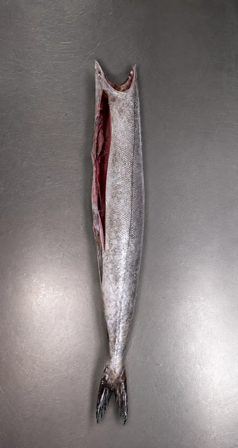Hake headed and gutted cut